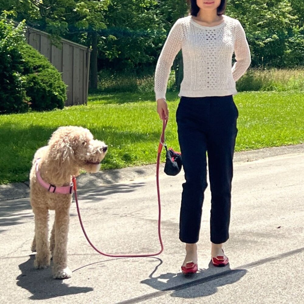 Madewell Summerstitch Pullover Sweater